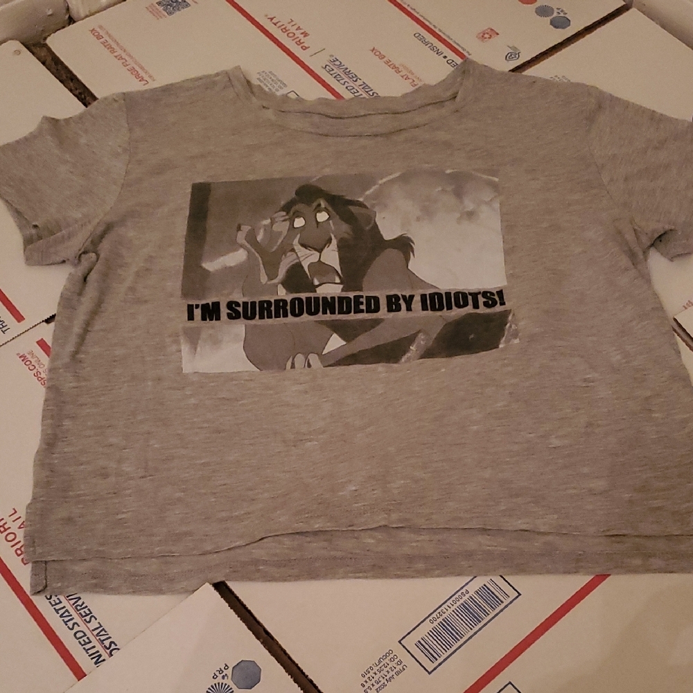 Disney Villians Women's Medium Grey Graphic Crop Top T-shirt